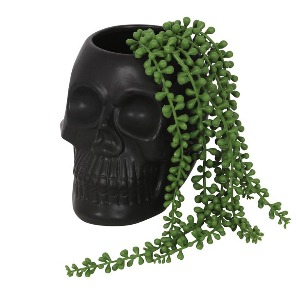 Black Skull Plant Pot / Ghotic Plant Pot / Halloween season